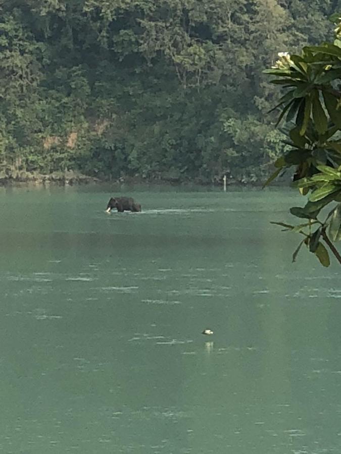 Ganga Forest View Rishīkesh Esterno foto